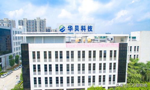 东莞 最好的13家企业 ,待遇感人,有望追赶广州和深圳 广东 东莞市 深圳市 广州市 科技 网易订阅