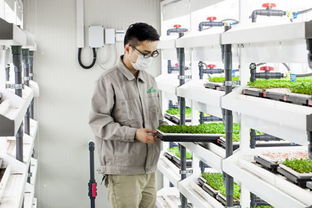 国内led植物工厂一览