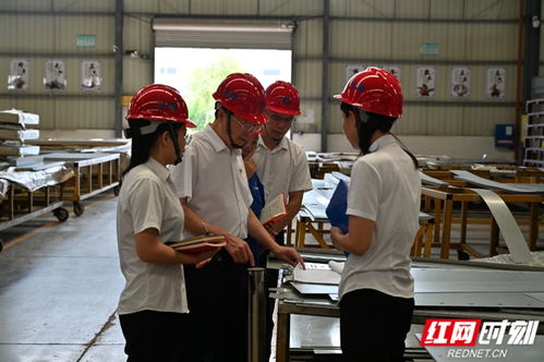 岳阳 党建引领聚合力 迸发组织新动力