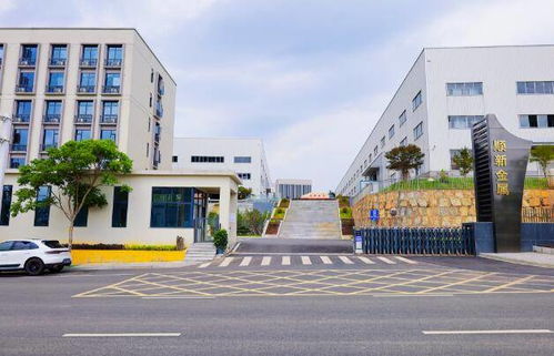 刚柔相济铸伟业 访湖南顺新金属制品科技董事长张顺新