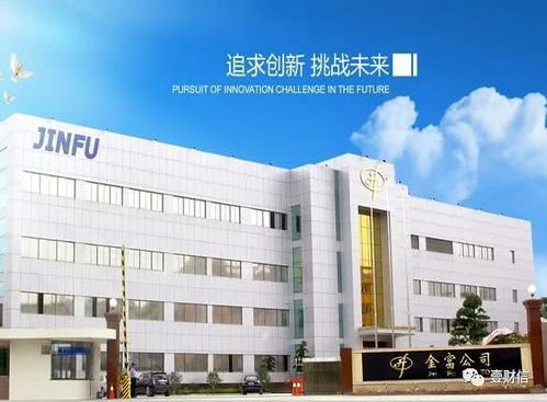金富科技销售费用率高,近万平方米房产建设或违规