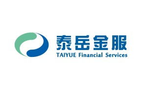 泰岳金服 科技驱动金融创新的北京科技有限公司