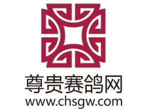 深圳市尊贵科技有限公司 创新引领未来科技